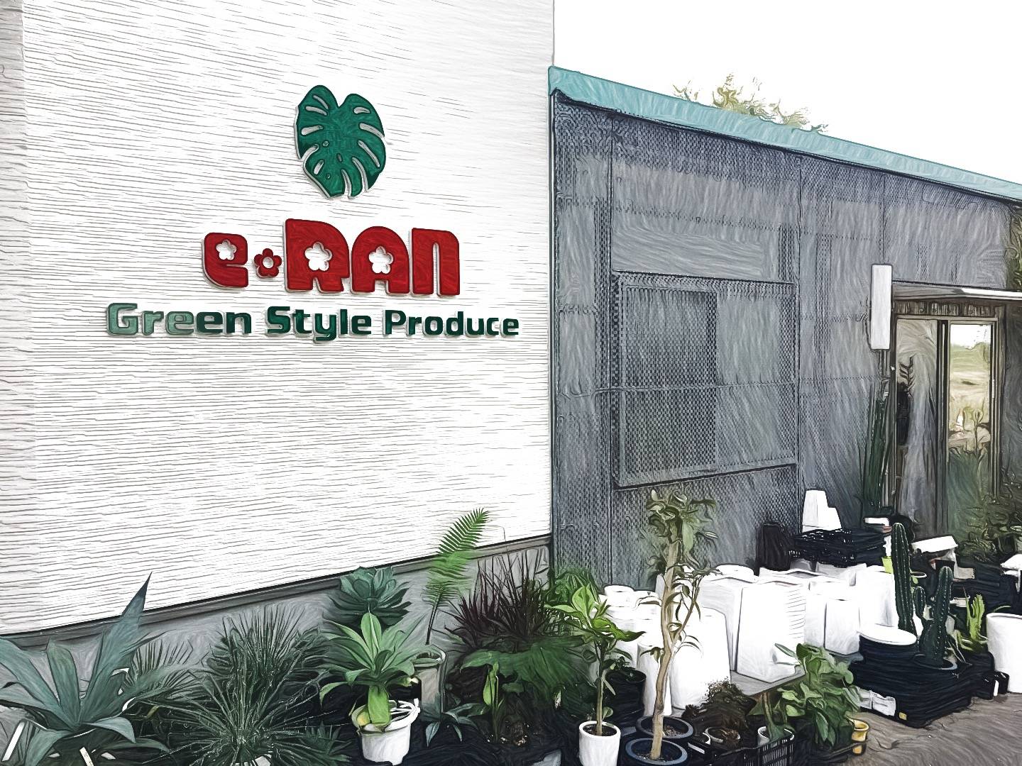 観葉植物専門店 E Ran イーラン ブログ Green Style Produce